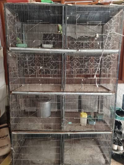 Birds cage