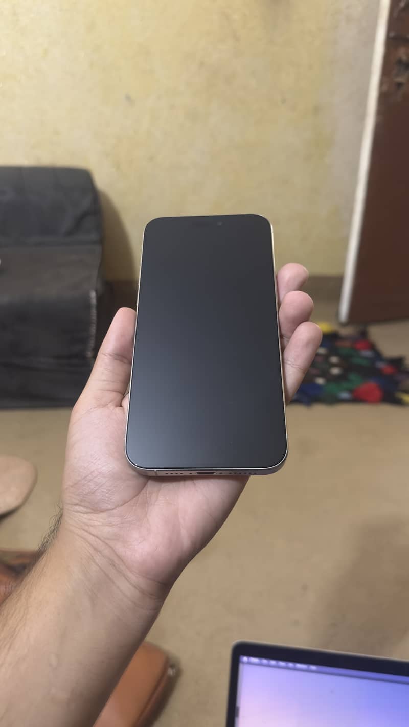 Apple iPhone 15 Pro Max 0
