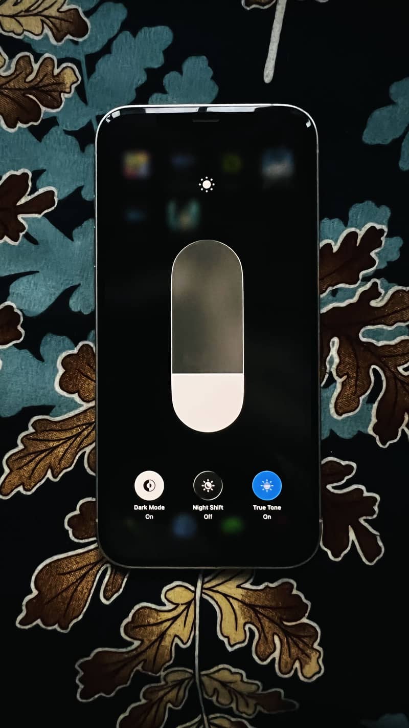 Apple iPhone 12 Pro Max 1
