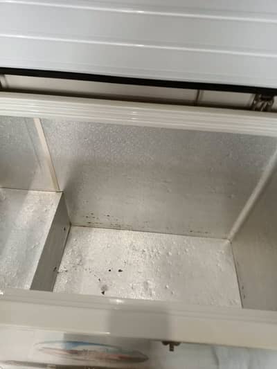 Veroline freezer