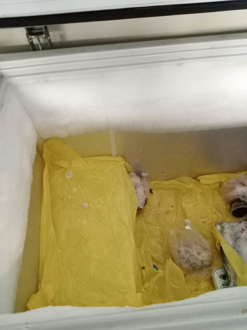 Veroline freezer 1