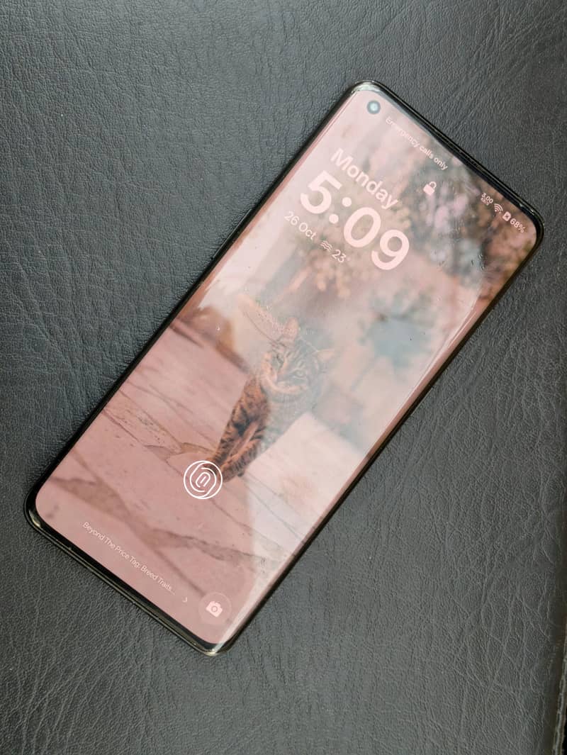 One Plus 10 Pro 2