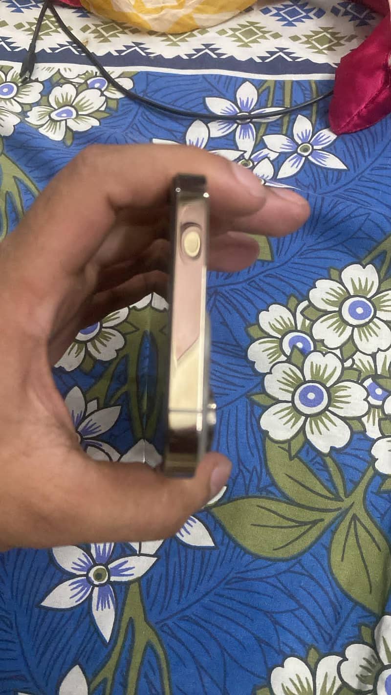 Apple iPhone 14 pro max 2