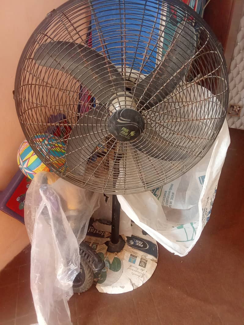 Pak fan 1