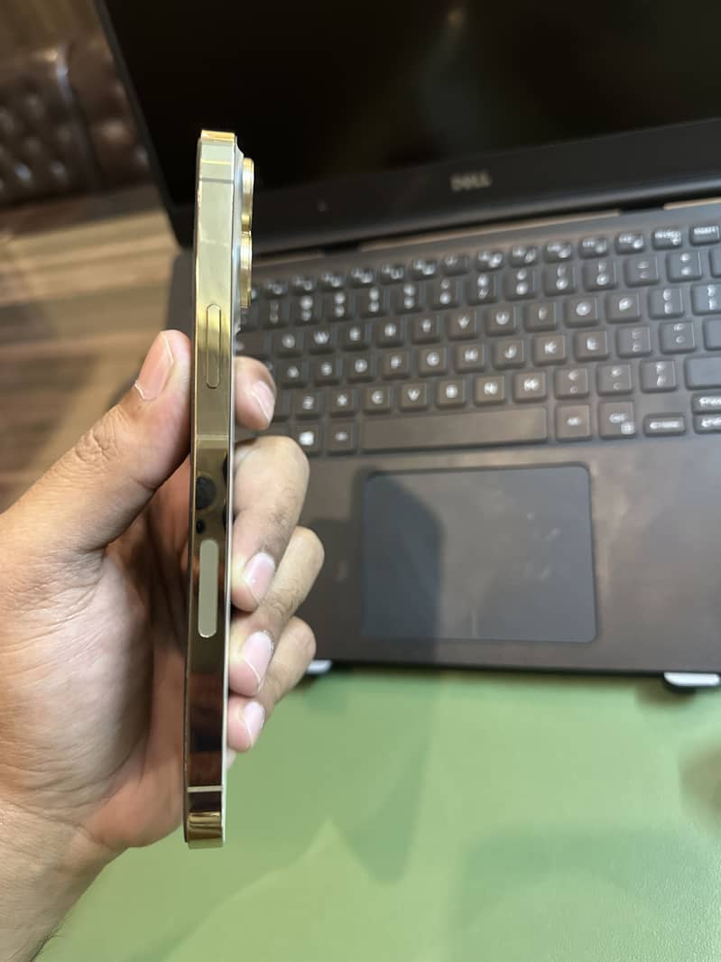 Apple iPhone 13 Pro Max 1