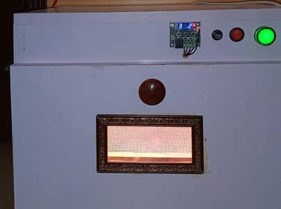 Egg incubator