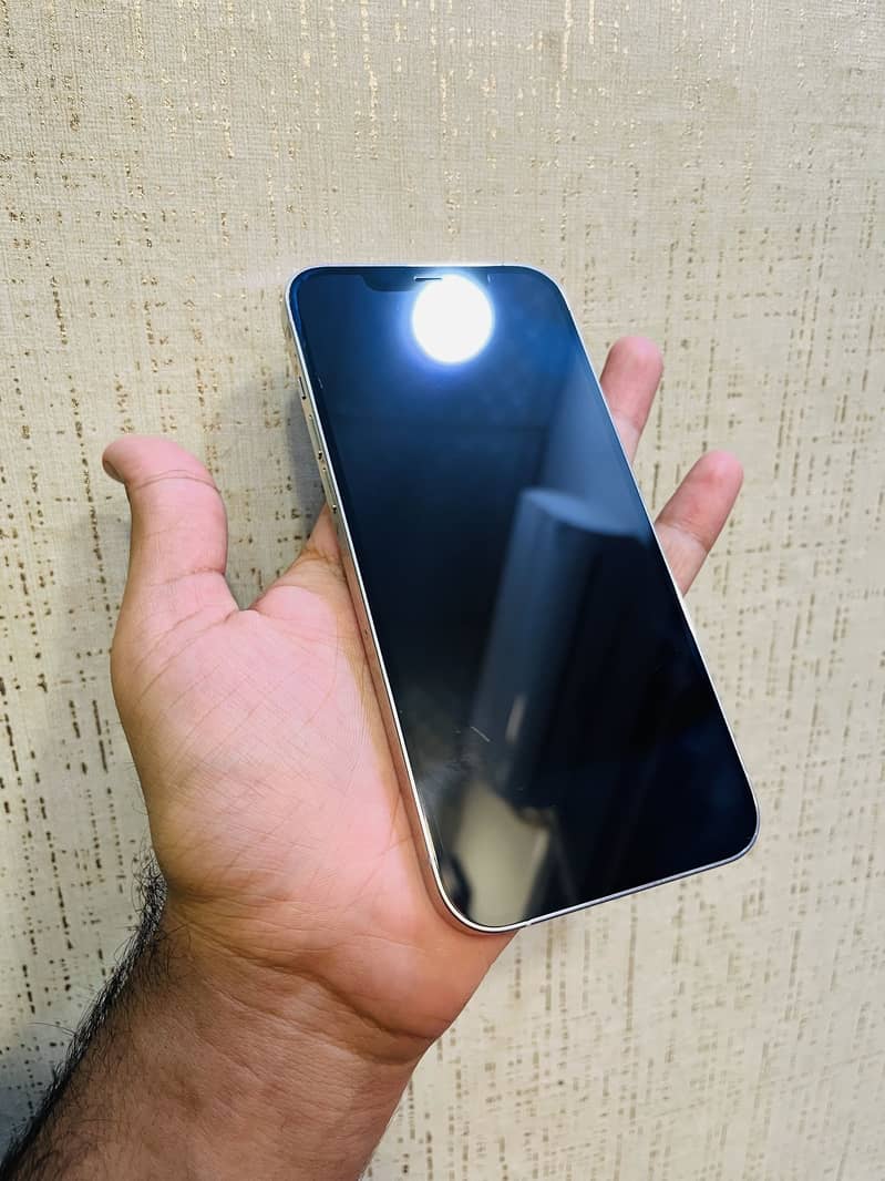 Apple iPhone 12 Pro Max 2