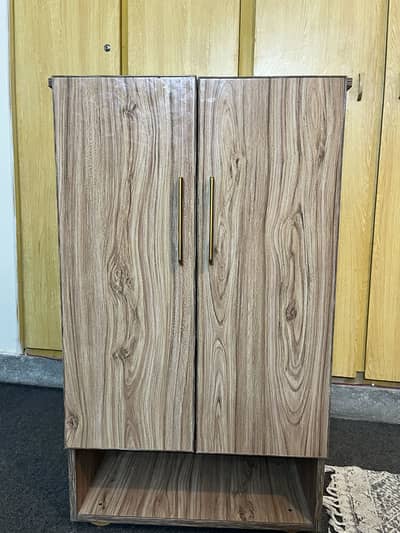 Cabinet for shoe/book storage