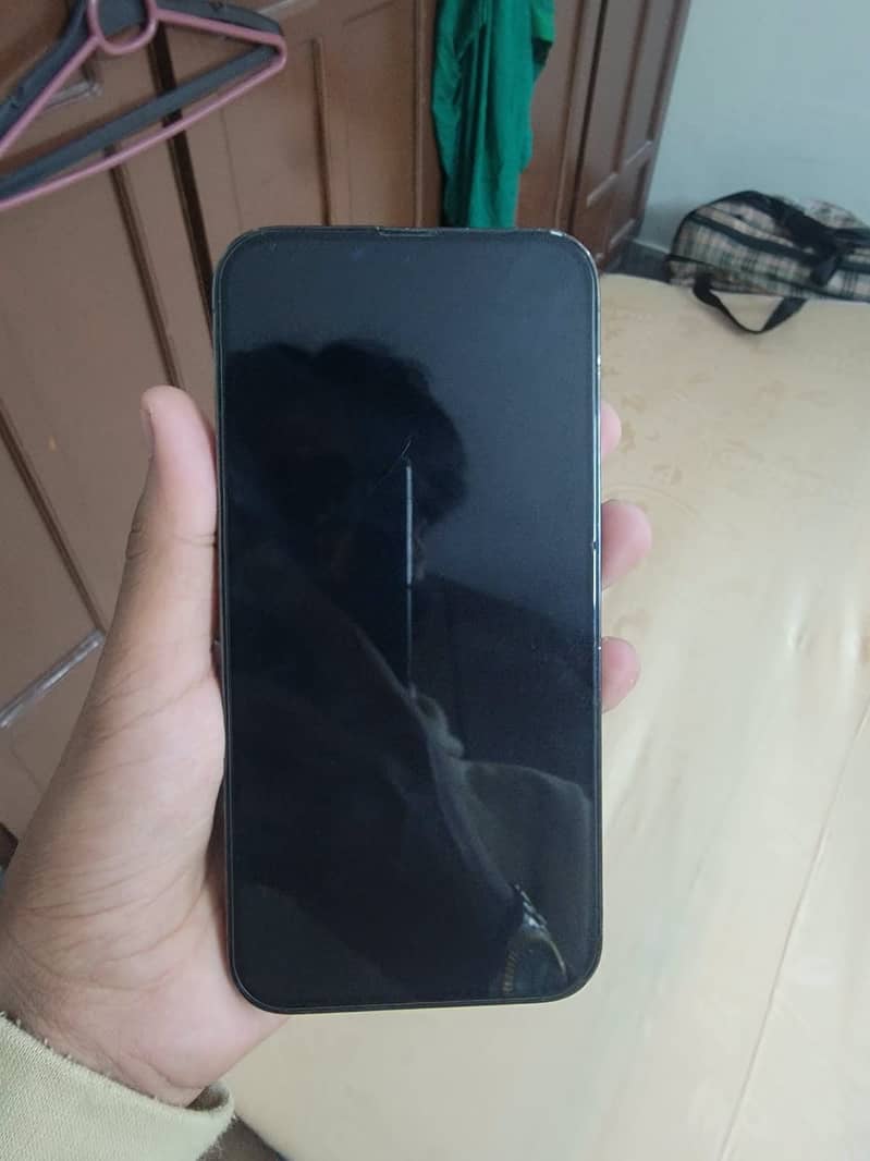 Apple iPhone 13 Pro Max 1