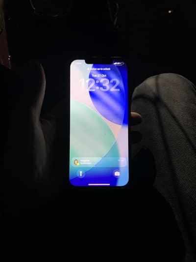 iPhone 12 pro max pta approved
