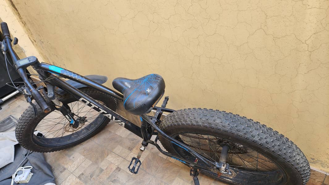 Fat Tire cycle 0