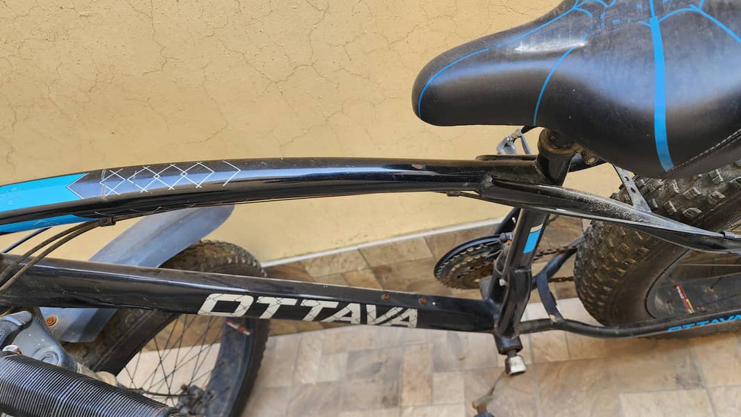 Fat Tire cycle 1
