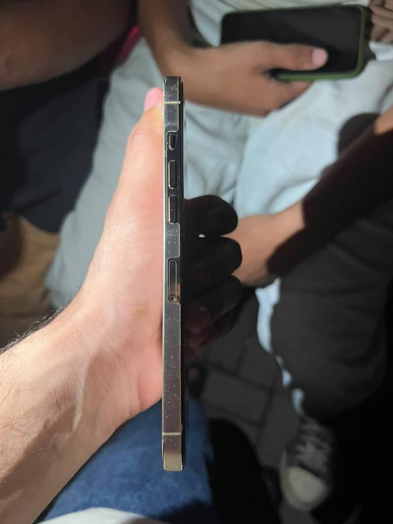 Apple iPhone 12 Pro Max 1
