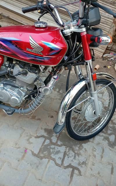 2024 pakka condition good