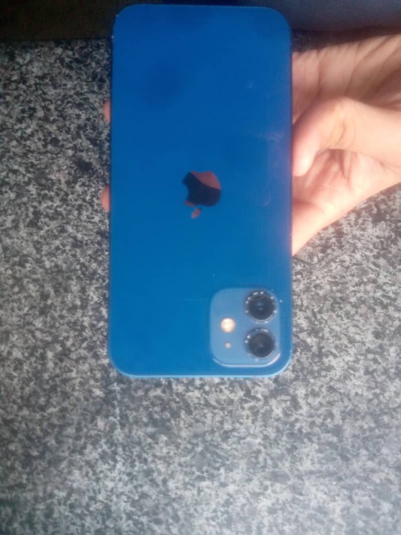 Apple iPhone 12 1