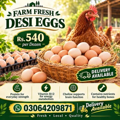 fresh fertilize desi Eggs Cross wale Dastiyaab ha 540 per Darjan
