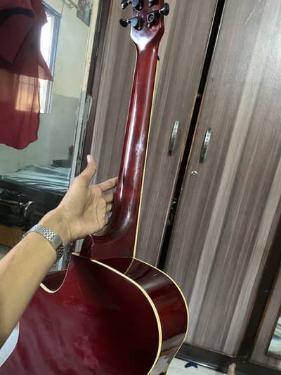 acoustic guitar