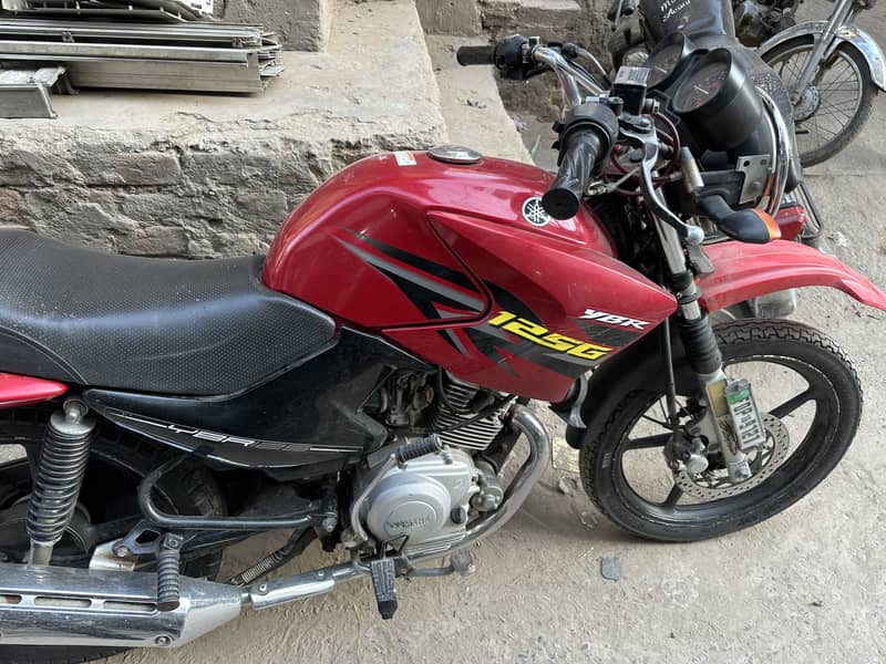 Ybr g red 3