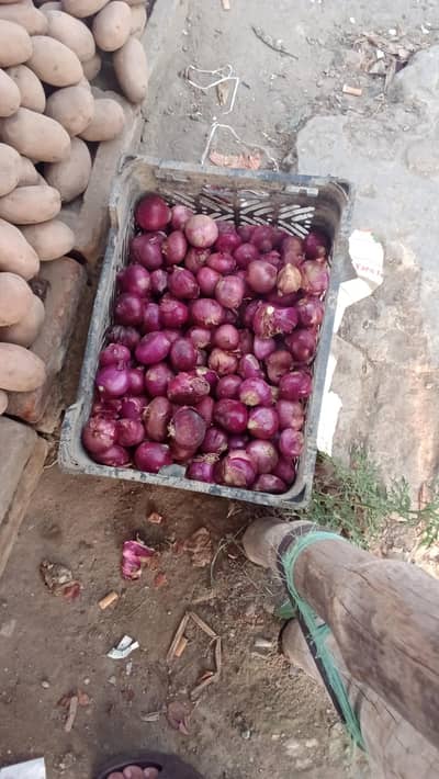 پکوڑے وغیرہ بنانے والے کاریگر/ہیلپر کی ضروررت ھے