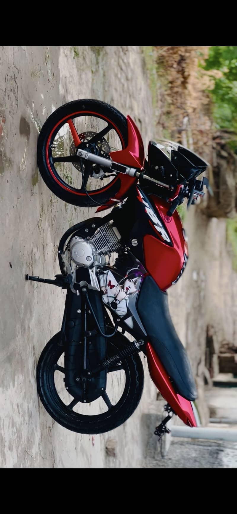 2019 Model Ybr full modified 2