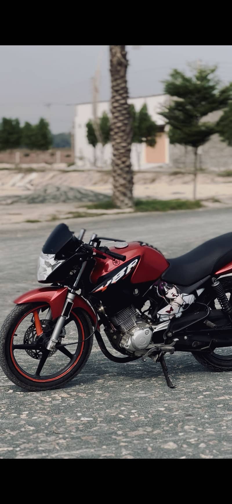 2019 Model Ybr full modified 3