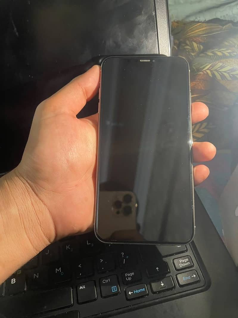 Apple iPhone Xs Max 1