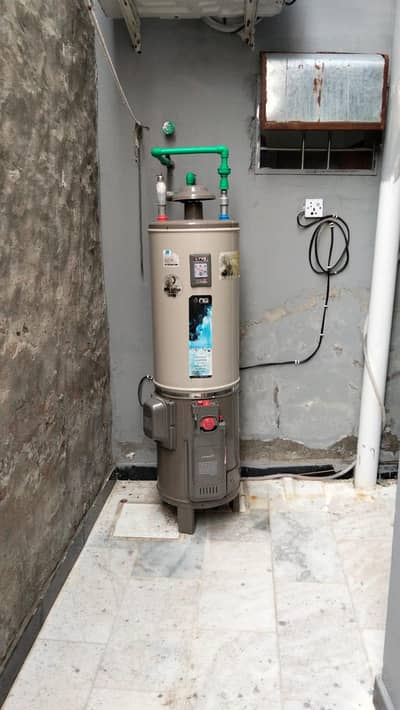 NS dual gyser
