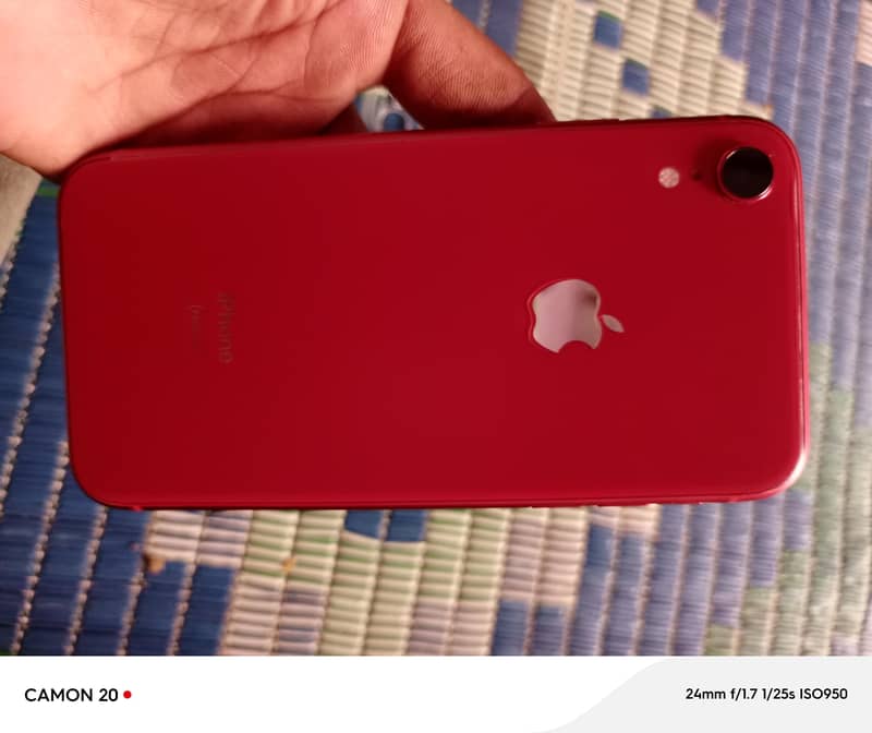 Apple iPhone XR 6