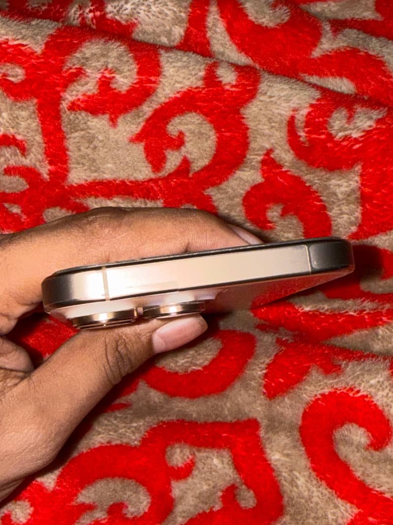 Apple iPhone 16 Pro Max 1