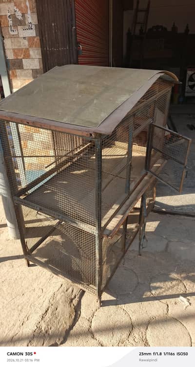 Hen and parrot cges for sale