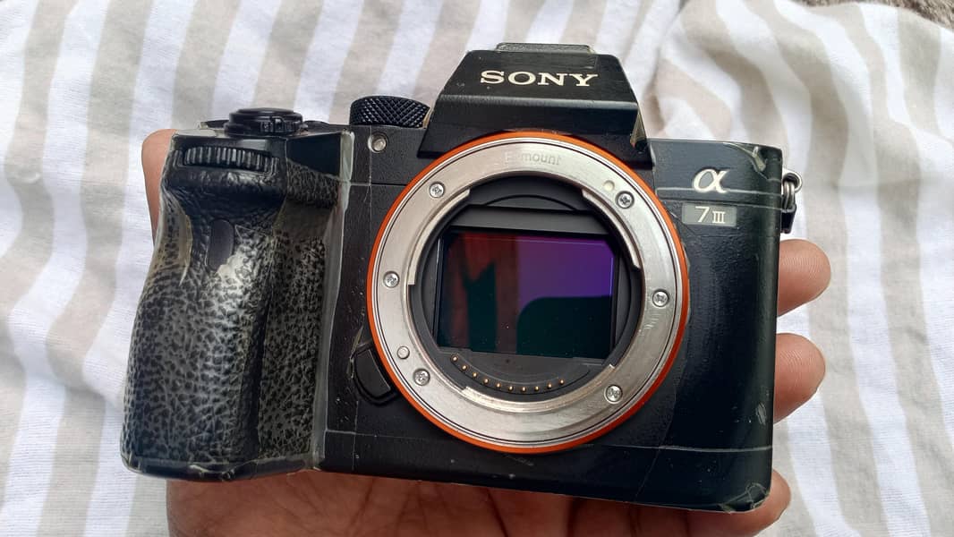 camera song A7III 2