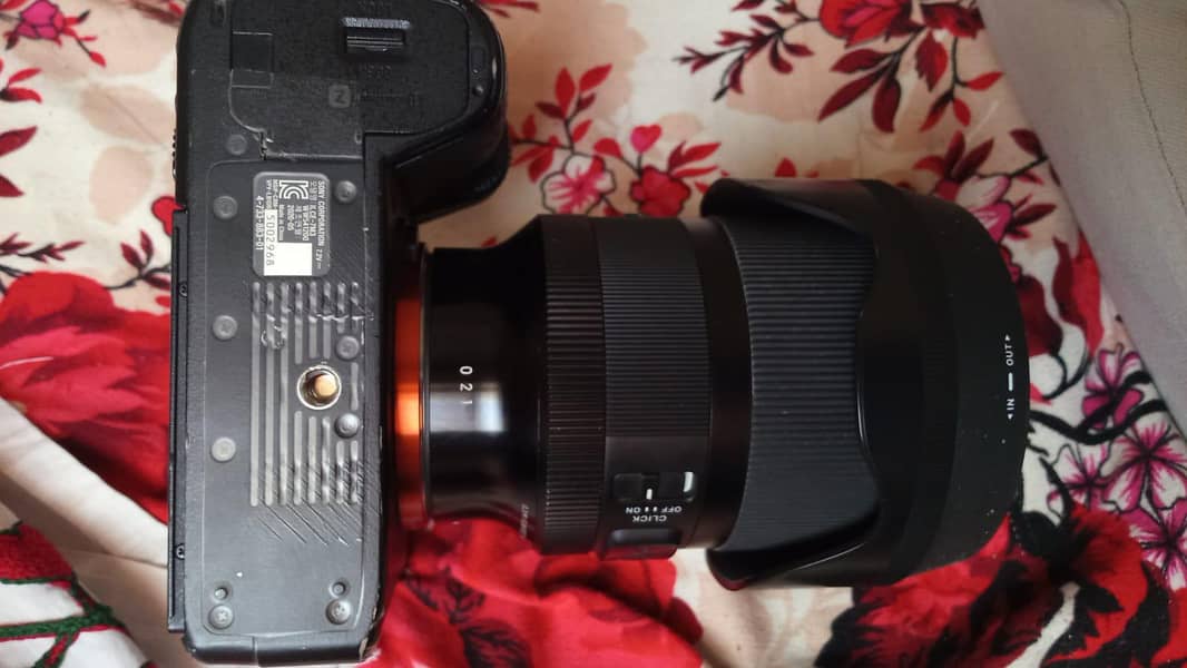 camera song A7III 4