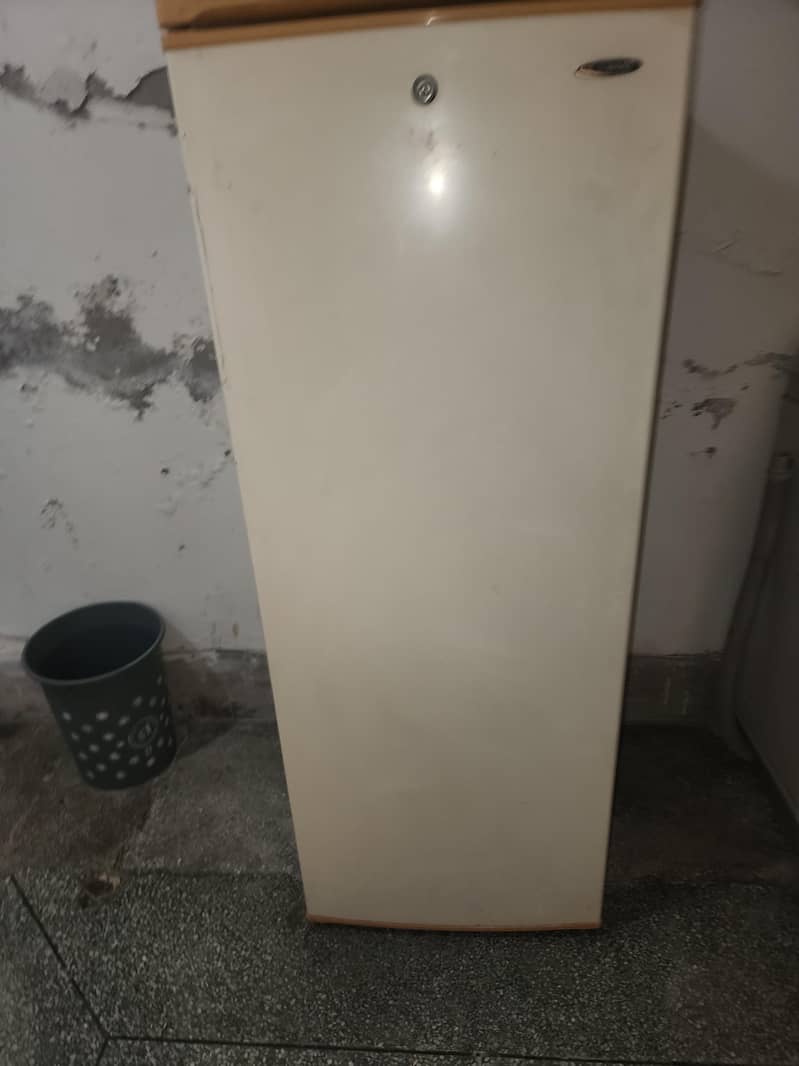 waves freezer 1
