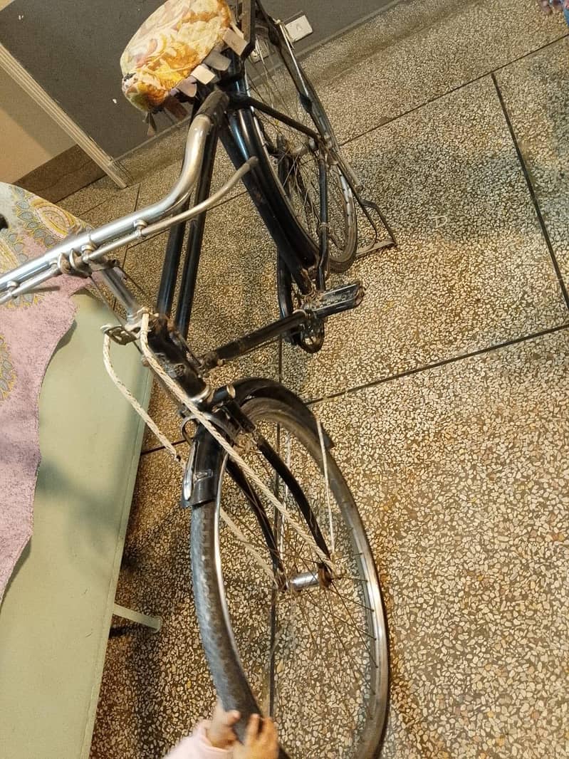 Bari cycle 1