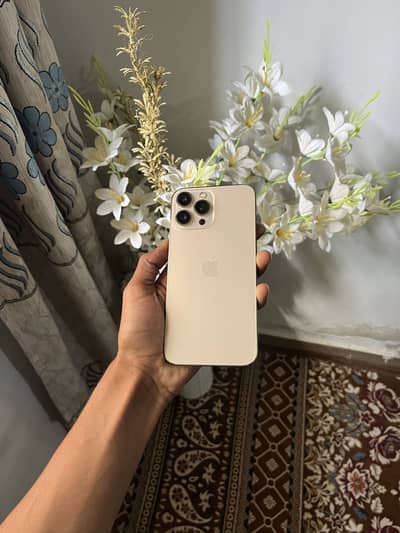 Apple iPhone 13 Pro Max