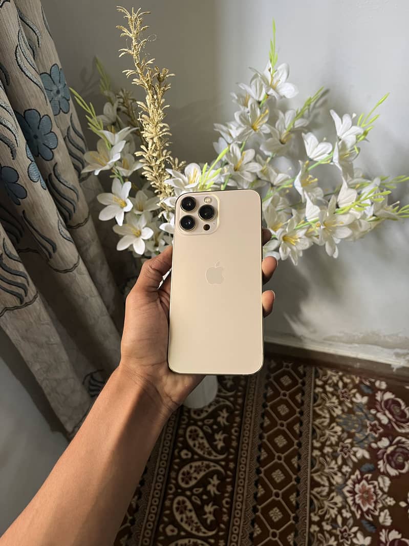 Apple iPhone 13 Pro Max 0