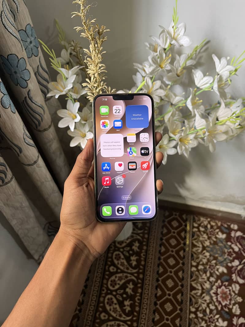 Apple iPhone 13 Pro Max 3