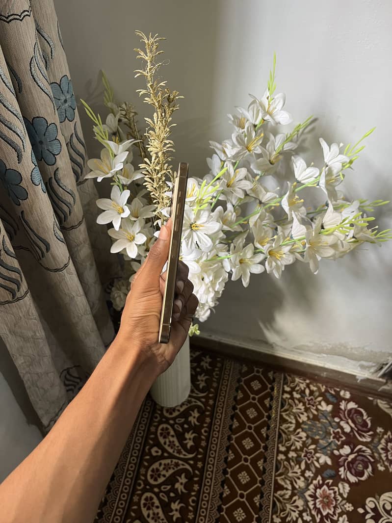 Apple iPhone 13 Pro Max 4