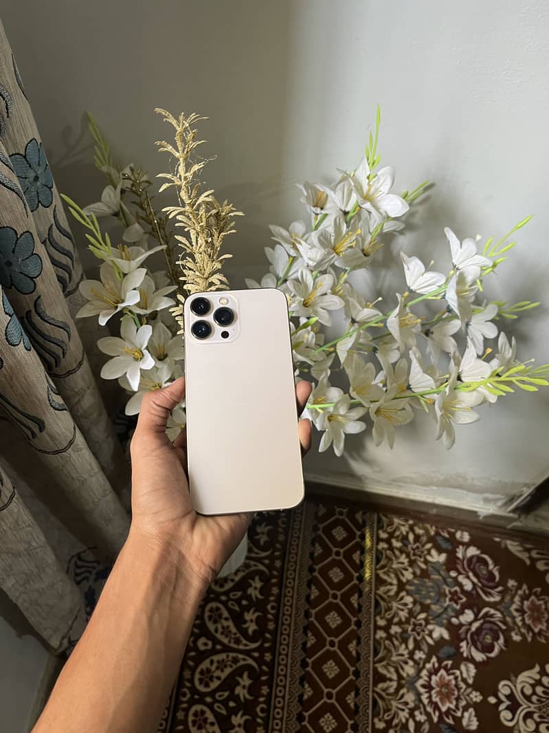 Apple iPhone 13 Pro Max 5