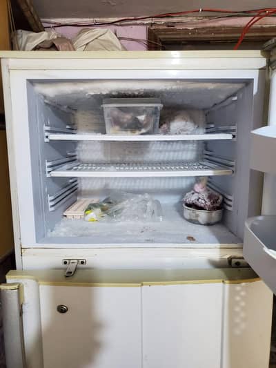 PEL full size fridge 15 cubic metre