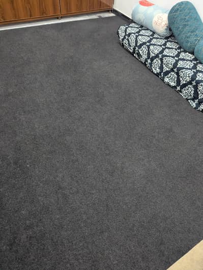 Gray color Carpet