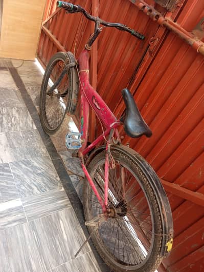 cycle for adults