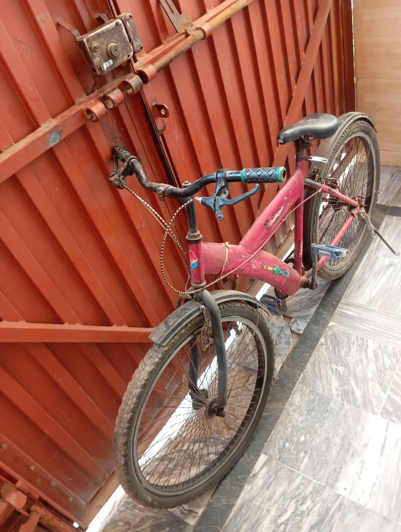 cycle for adults 1