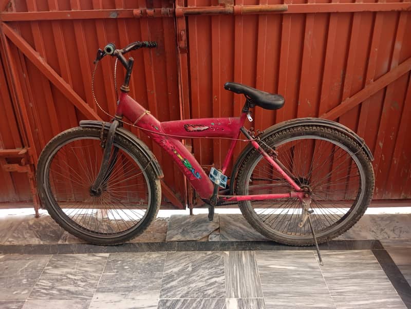 cycle for adults 2