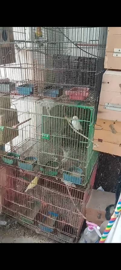 portion cage . folding cage 1.5 by 2 or 2 by 2