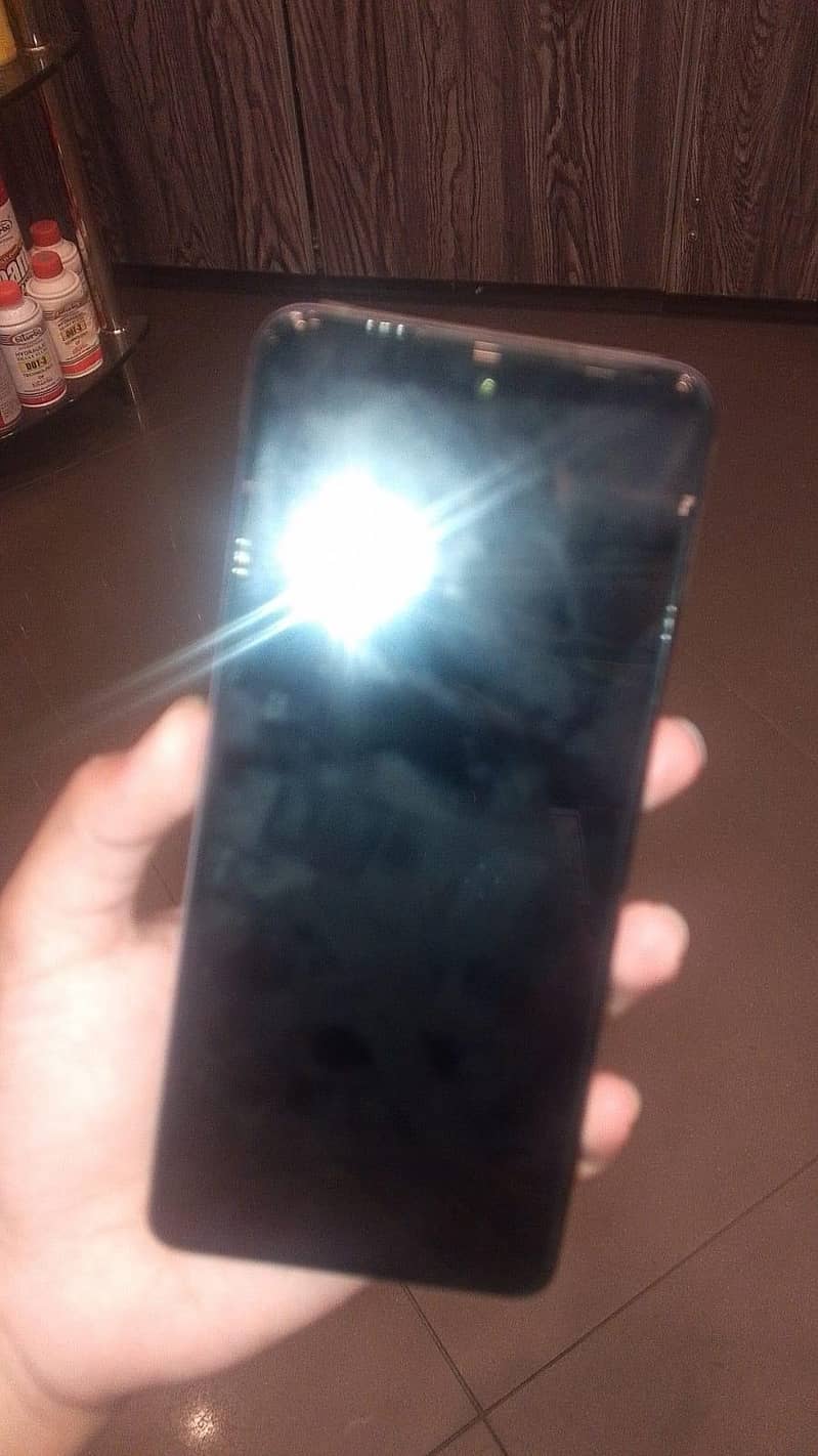 Dcode Bold 3 Pro 2
