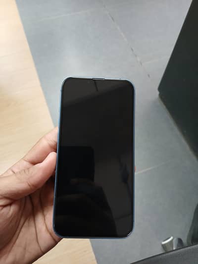 Apple iPhone 13