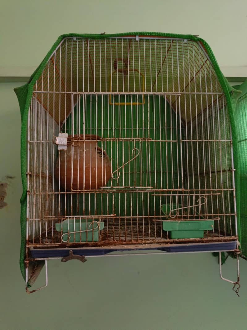 2 folding cage available 2