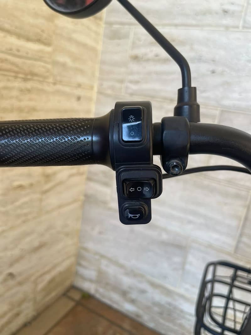 YJ Future New Shape E Bike 4