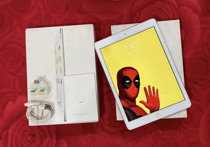 Apple Air 1st Generation all accessories.